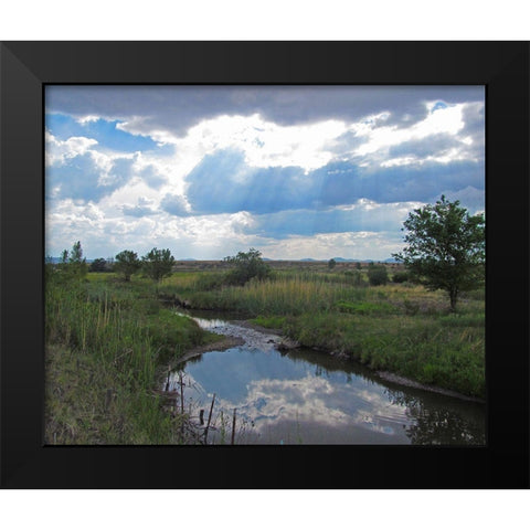 Becker Lake Wildlife Preserve Black Modern Wood Framed Art Print by Popcorn