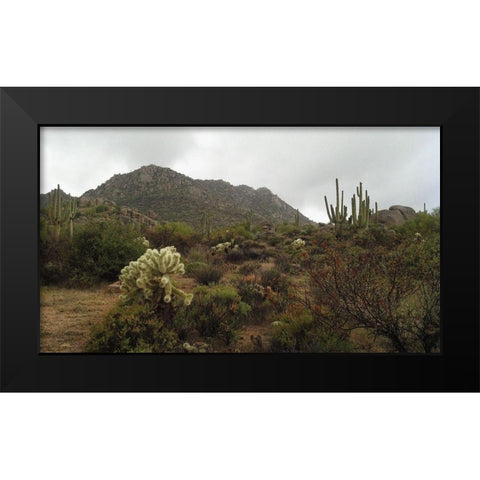 Granite Mountain I Black Modern Wood Framed Art Print by Popcorn