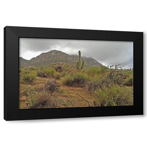 Granite Mountain II Black Modern Wood Framed Art Print by Popcorn