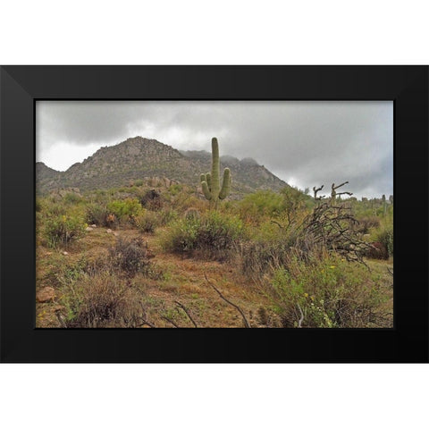 Granite Mountain II Black Modern Wood Framed Art Print by Popcorn
