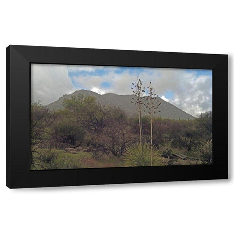 Granite Mountain III Black Modern Wood Framed Art Print by Popcorn