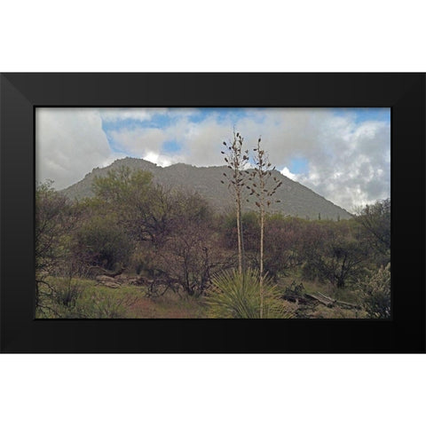 Granite Mountain III Black Modern Wood Framed Art Print by Popcorn