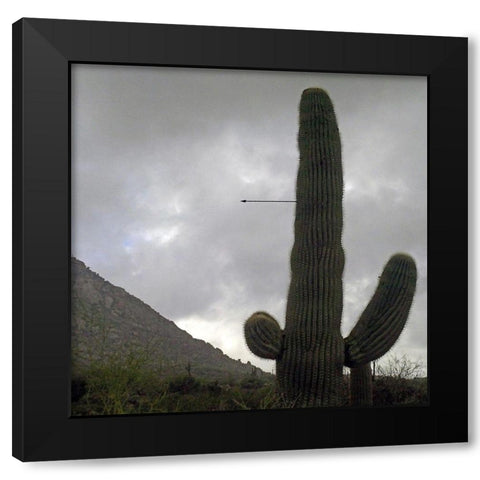 Saguaro Arrow Black Modern Wood Framed Art Print by Popcorn