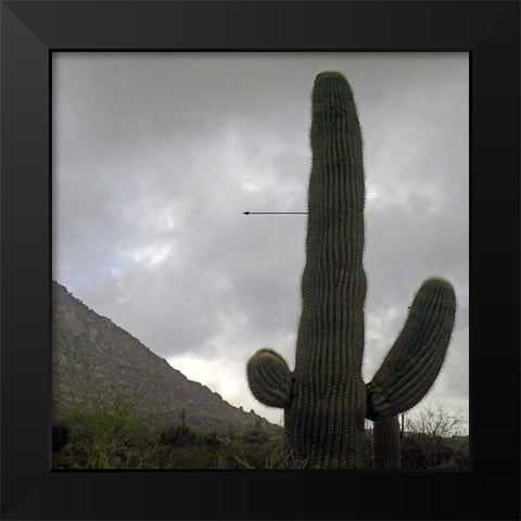 Saguaro Arrow Black Modern Wood Framed Art Print by Popcorn