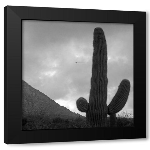 Saguaro Arrow BandW Black Modern Wood Framed Art Print by Popcorn