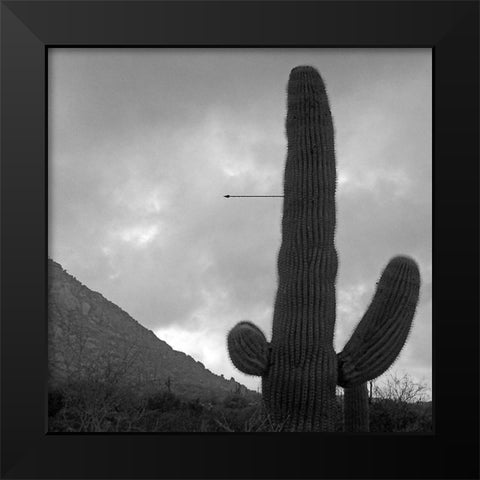 Saguaro Arrow BandW Black Modern Wood Framed Art Print by Popcorn