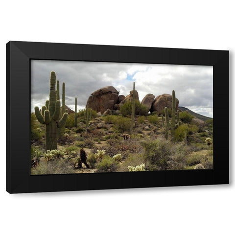 Cathedral Rock Black Modern Wood Framed Art Print by Popcorn