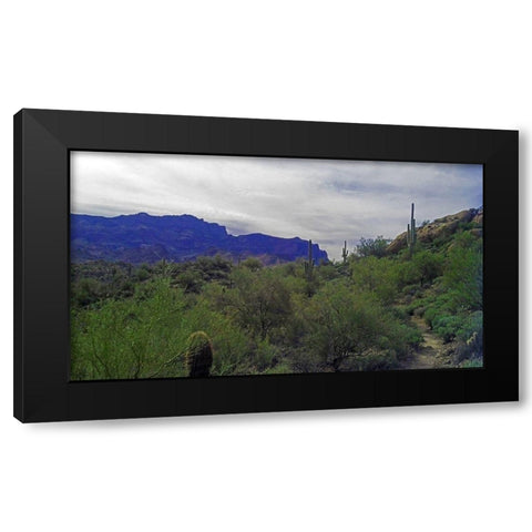 Superstition Mountain I Black Modern Wood Framed Art Print with Double Matting by Popcorn