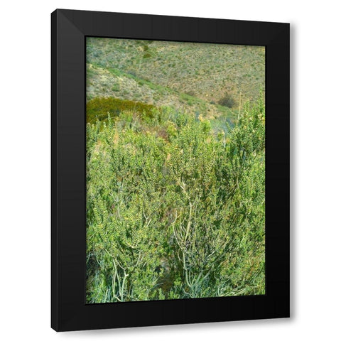 Kartchner Cavern Foothills Black Modern Wood Framed Art Print by Popcorn