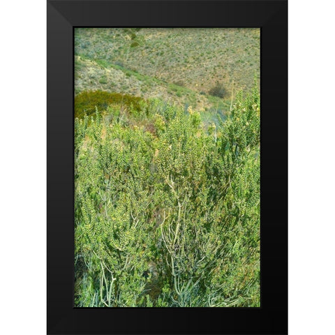 Kartchner Cavern Foothills Black Modern Wood Framed Art Print by Popcorn