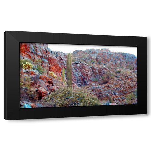 Desert Scape 2 Black Modern Wood Framed Art Print with Double Matting by Popcorn