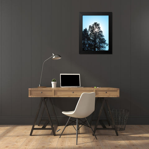 Tree 1 Black Modern Wood Framed Art Print by Popcorn