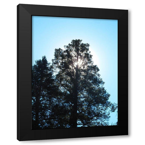 Tree 1 Black Modern Wood Framed Art Print with Double Matting by Popcorn