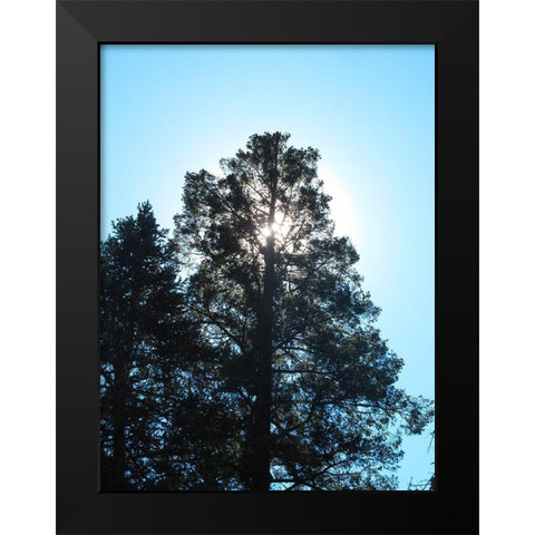 Tree 1 Black Modern Wood Framed Art Print by Popcorn