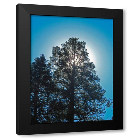 Tree 2 Black Modern Wood Framed Art Print with Double Matting by Popcorn