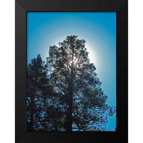 Tree 2 Black Modern Wood Framed Art Print by Popcorn