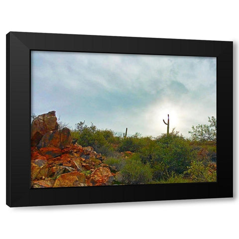 Desert Scape 14 Black Modern Wood Framed Art Print with Double Matting by Tenoever, William