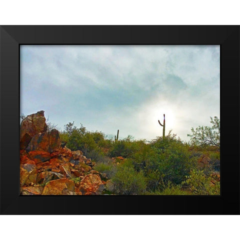 Desert Scape 14 Black Modern Wood Framed Art Print by Tenoever, William
