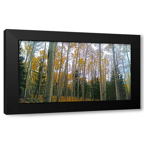 Aspens in Fall I Black Modern Wood Framed Art Print with Double Matting by Tenoever, William
