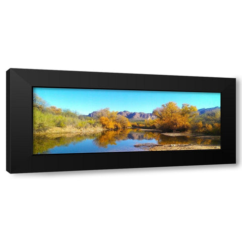 Salt RIver in Fall I Black Modern Wood Framed Art Print by Tenoever, William