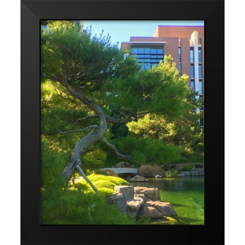 Japanese Friendship Garden I Black Modern Wood Framed Art Print by Tenoever, William