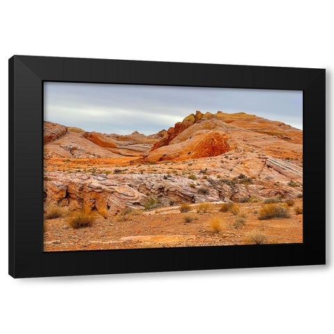 ValleyOfFire:BigHornSheep2 Black Modern Wood Framed Art Print with Double Matting by Tenoever, William
