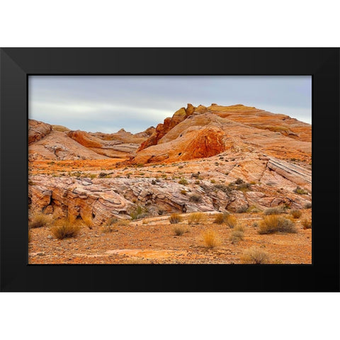 ValleyOfFire:BigHornSheep2 Black Modern Wood Framed Art Print by Tenoever, William