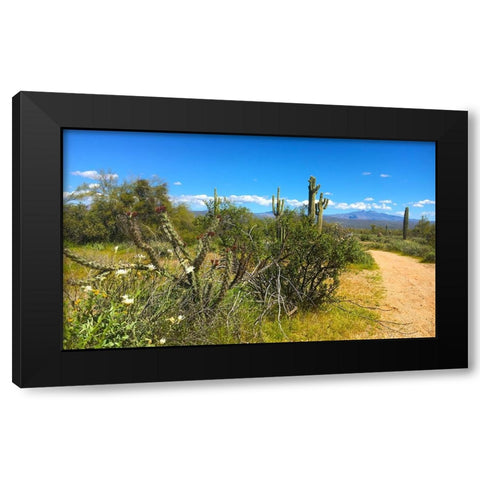 FourPeaks Black Modern Wood Framed Art Print with Double Matting by Tenoever, William