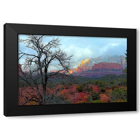 SedonaInWinter1 Black Modern Wood Framed Art Print by Tenoever, William