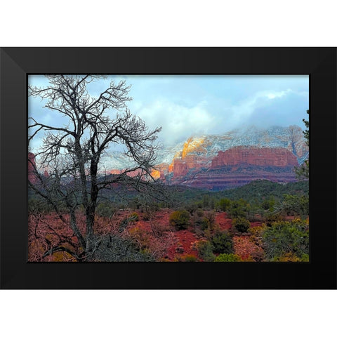 SedonaInWinter1 Black Modern Wood Framed Art Print by Tenoever, William