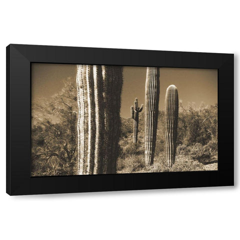 Desert Scape 13 Black Modern Wood Framed Art Print with Double Matting by Popcorn