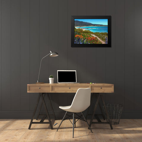 Coastal Inlet I Black Modern Wood Framed Art Print by Tienhaara, Michael