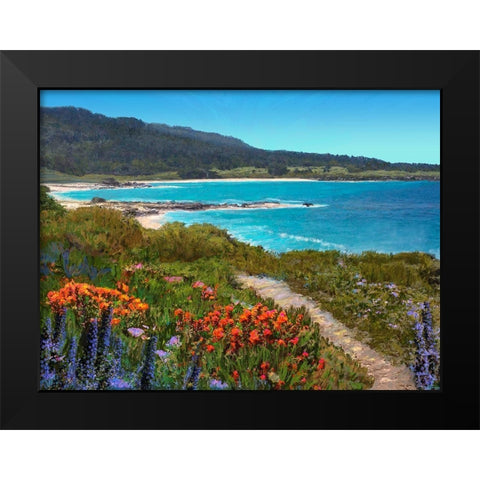 Coastal Inlet I Black Modern Wood Framed Art Print by Tienhaara, Michael