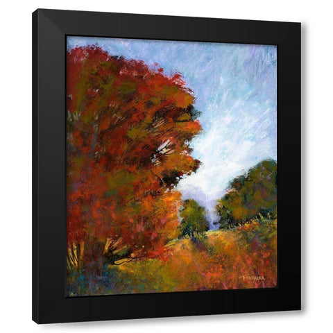 Falls Romance I Black Modern Wood Framed Art Print by Tienhaara, Michael