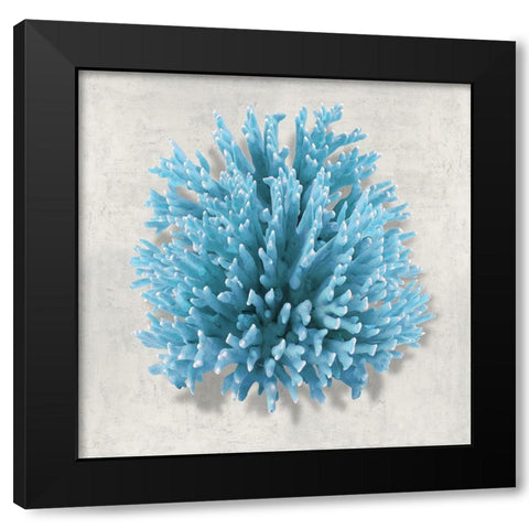 Coral Aqua I Black Modern Wood Framed Art Print by Kelly, Caroline