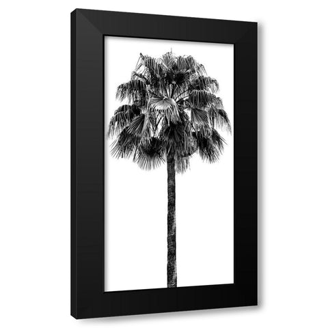 Palm Tree IV Black Modern Wood Framed Art Print with Double Matting by Blake, Madeline