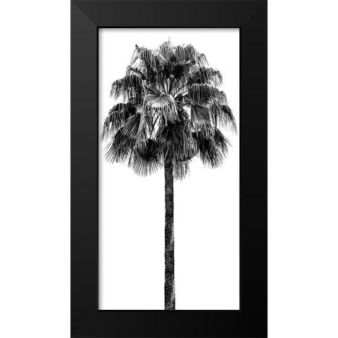 Palm Tree IV Black Modern Wood Framed Art Print by Blake, Madeline