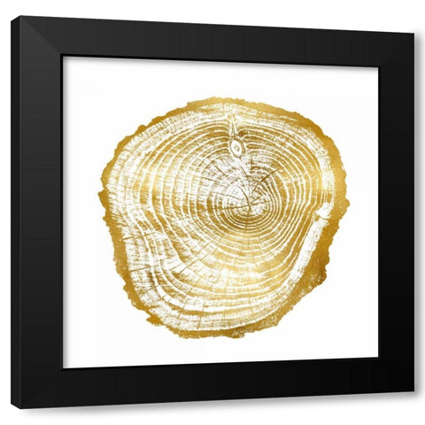 Timber Gold III Black Modern Wood Framed Art Print with Double Matting by Carson, Danielle