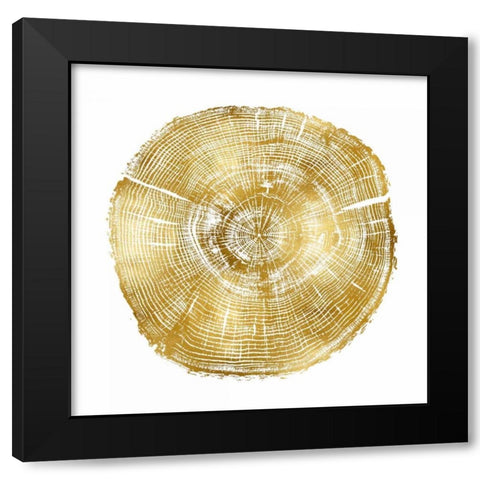 Timber Gold IV Black Modern Wood Framed Art Print by Carson, Danielle