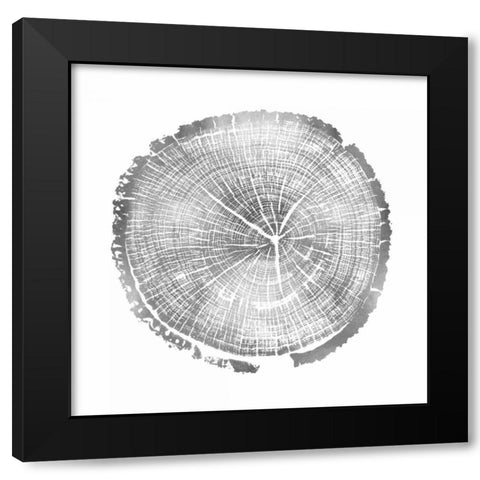 Timber Silver I Black Modern Wood Framed Art Print with Double Matting by Carson, Danielle
