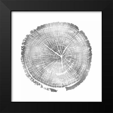 Timber Silver I Black Modern Wood Framed Art Print by Carson, Danielle