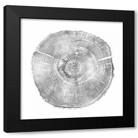 Timber Silver IV Black Modern Wood Framed Art Print by Carson, Danielle