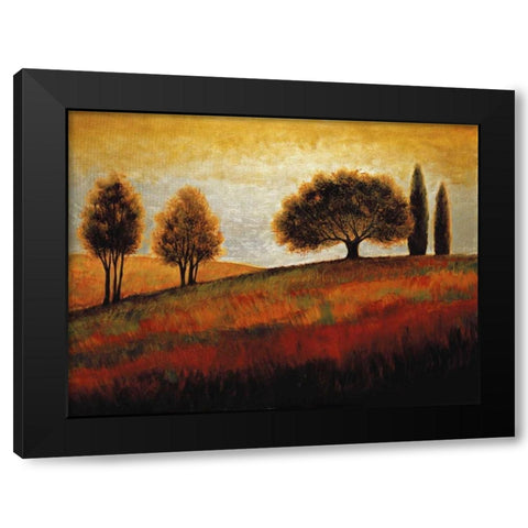 Rising II Black Modern Wood Framed Art Print by Williams, Gregory