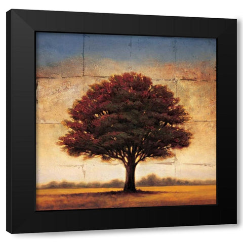Splendor I Black Modern Wood Framed Art Print by Williams, Gregory