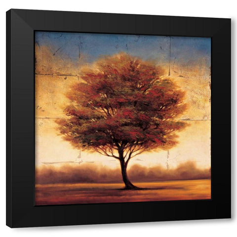 Splendor II Black Modern Wood Framed Art Print by Williams, Gregory