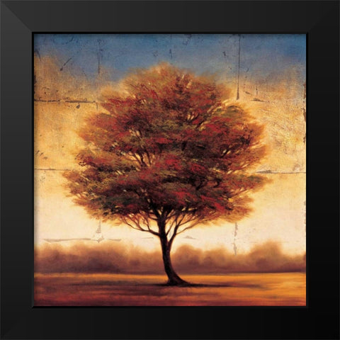 Splendor II Black Modern Wood Framed Art Print by Williams, Gregory