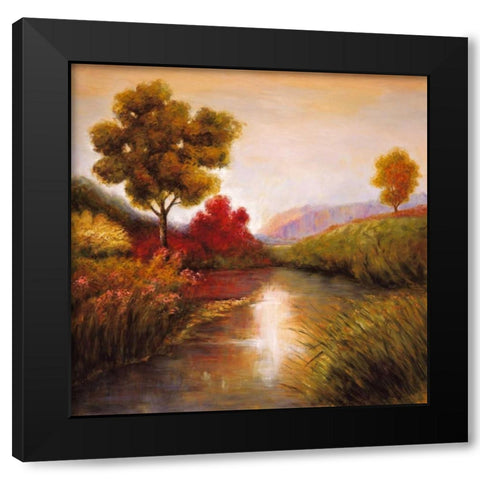 Idyllic I Black Modern Wood Framed Art Print by Leonard, Jeffrey