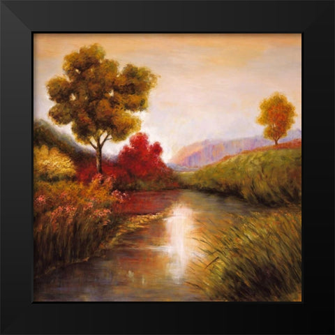 Idyllic I Black Modern Wood Framed Art Print by Leonard, Jeffrey