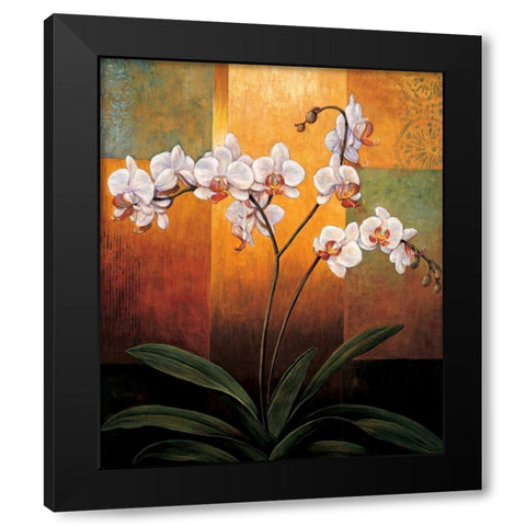 Orchids Black Modern Wood Framed Art Print with Double Matting by Deveraux, Jill