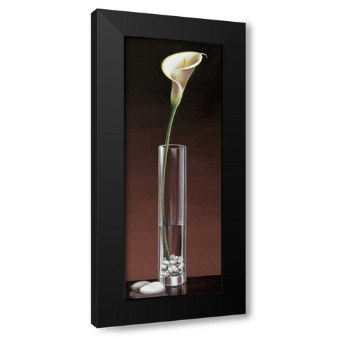 Calla Haiku Black Modern Wood Framed Art Print with Double Matting by Ross, Yuki